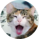 古力力